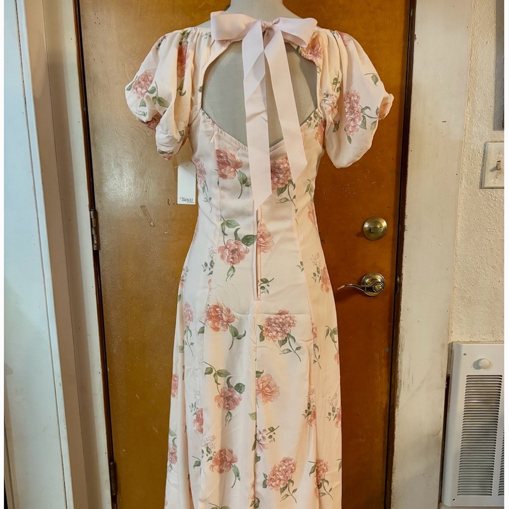 NWT Trixxi dress.  Pale pink floral with a bow in back